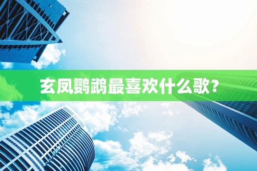 玄凤鹦鹉最喜欢什么歌？