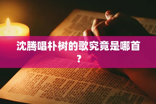 沈腾唱朴树的歌究竟是哪首？