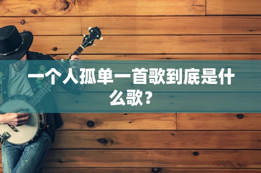 一个人孤单一首歌到底是什么歌？