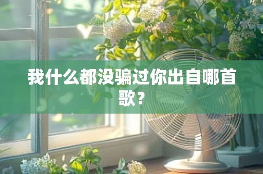 我什么都没骗过你出自哪首歌？