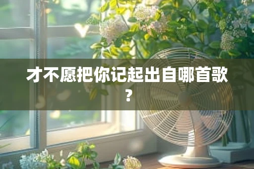 才不愿把你记起出自哪首歌？
