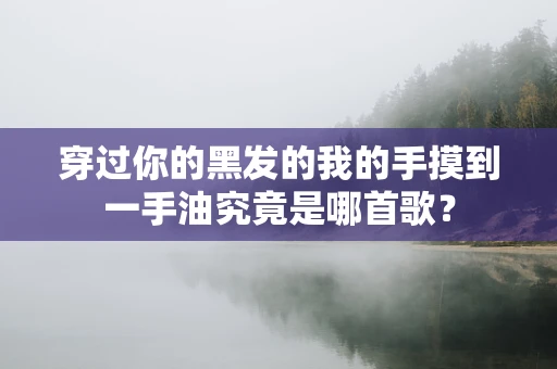 穿过你的黑发的我的手摸到一手油究竟是哪首歌？