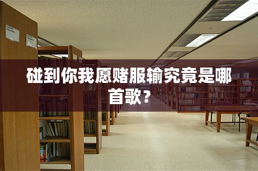 碰到你我愿赌服输究竟是哪首歌？