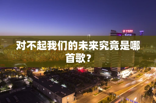 对不起我们的未来究竟是哪首歌？