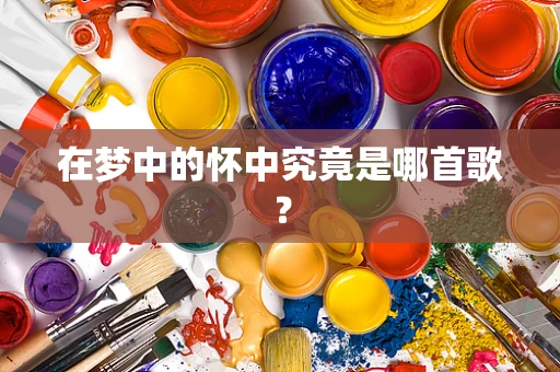 在梦中的怀中究竟是哪首歌？