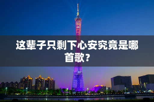 这辈子只剩下心安究竟是哪首歌？