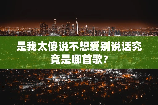 是我太傻说不想爱别说话究竟是哪首歌？