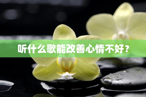 听什么歌能改善心情不好？