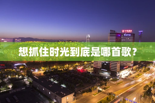 想抓住时光到底是哪首歌？