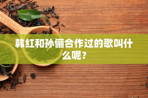 韩红和孙俪合作过的歌叫什么呢？