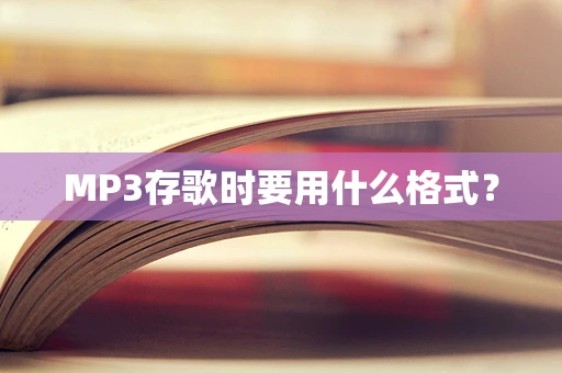 MP3存歌时要用什么格式？