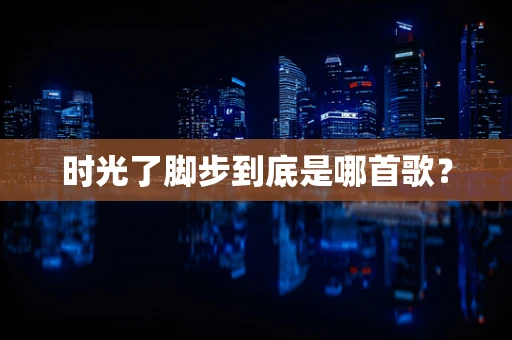 时光了脚步到底是哪首歌？