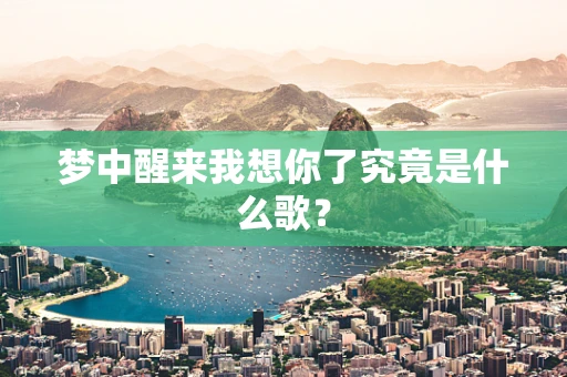 梦中醒来我想你了究竟是什么歌？