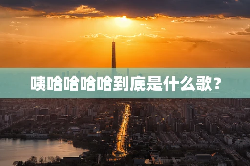 咦哈哈哈哈到底是什么歌？