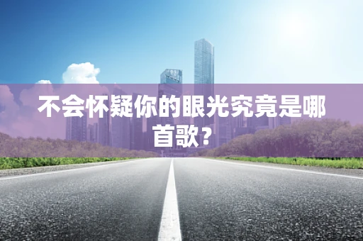 不会怀疑你的眼光究竟是哪首歌？