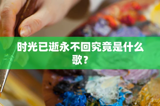 时光已逝永不回究竟是什么歌？
