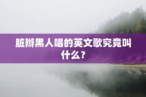 脏辫黑人唱的英文歌究竟叫什么？