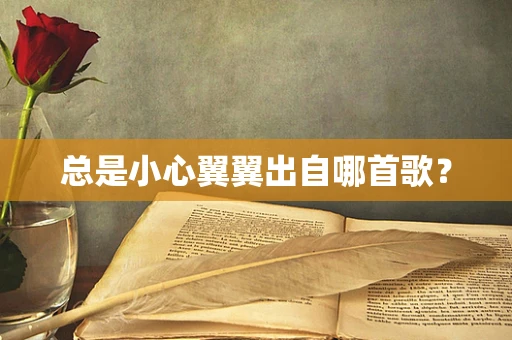 总是小心翼翼出自哪首歌？
