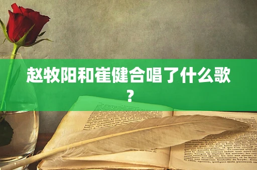 赵牧阳和崔健合唱了什么歌？