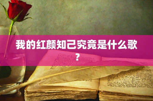我的红颜知己究竟是什么歌？