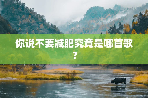 你说不要减肥究竟是哪首歌？