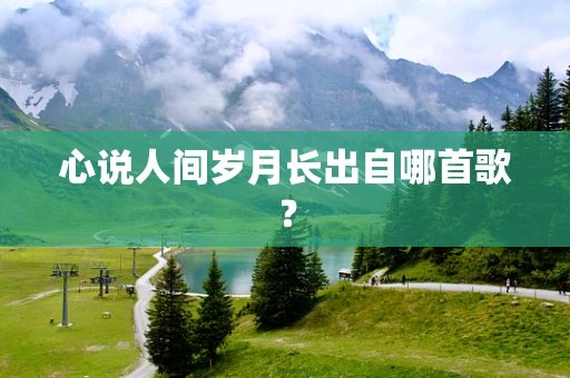 心说人间岁月长出自哪首歌？