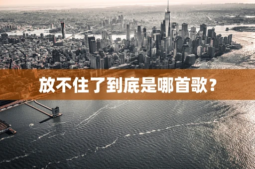 放不住了到底是哪首歌？