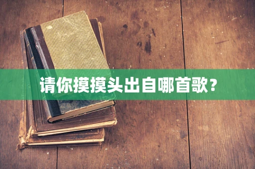 请你摸摸头出自哪首歌？