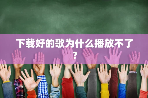 下载好的歌为什么播放不了？