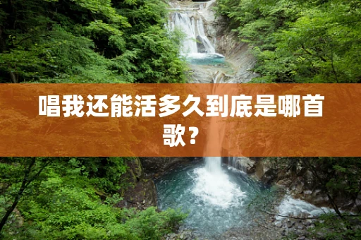 唱我还能活多久到底是哪首歌？