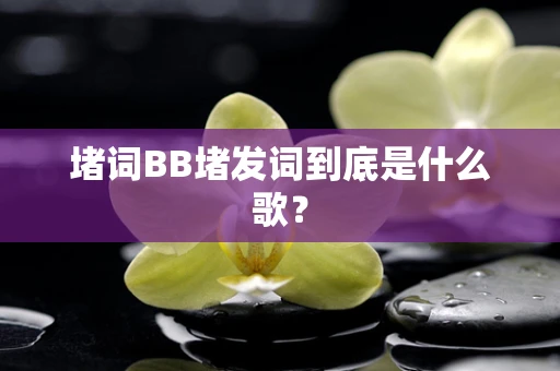 堵词BB堵发词到底是什么歌？