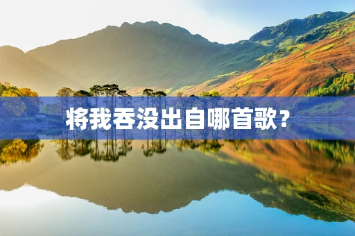 将我吞没出自哪首歌？