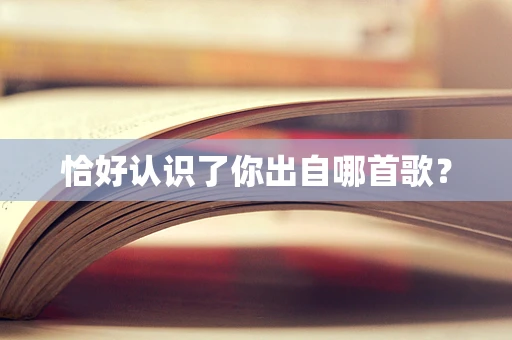 恰好认识了你出自哪首歌？