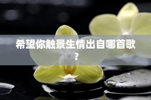 希望你触景生情出自哪首歌？