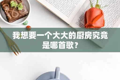 我想要一个大大的厨房究竟是哪首歌？