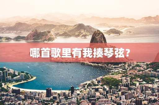 哪首歌里有我揍琴弦？