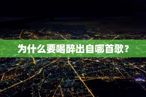 为什么要喝醉出自哪首歌？