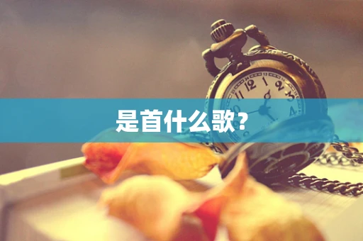 是首什么歌？
