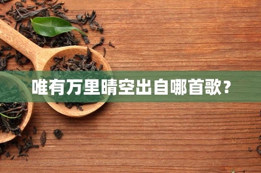 唯有万里晴空出自哪首歌？