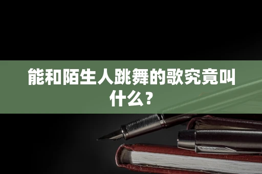 能和陌生人跳舞的歌究竟叫什么？
