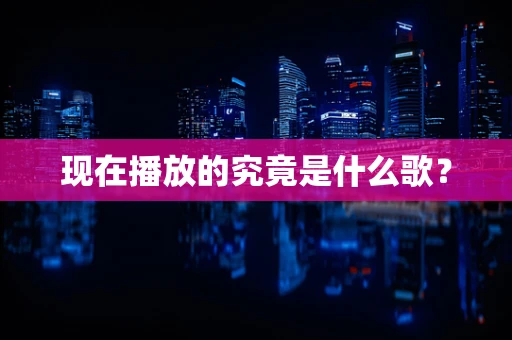 现在播放的究竟是什么歌？