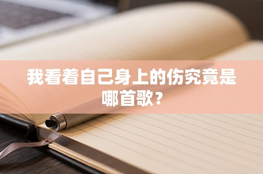 我看着自己身上的伤究竟是哪首歌？