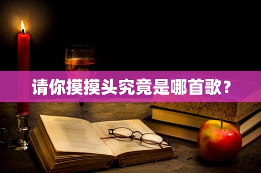 请你摸摸头究竟是哪首歌？