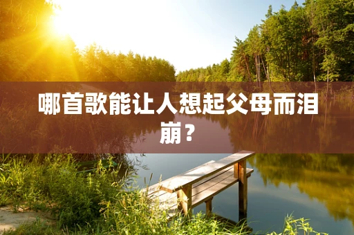 哪首歌能让人想起父母而泪崩？