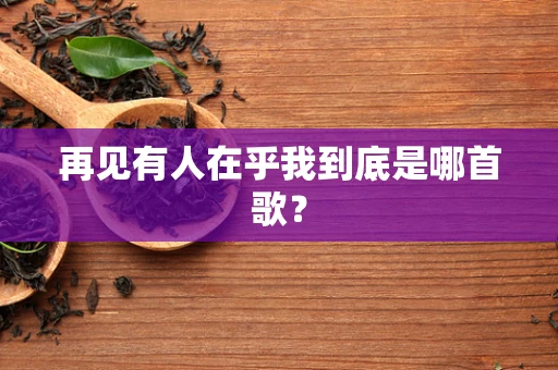 再见有人在乎我到底是哪首歌？