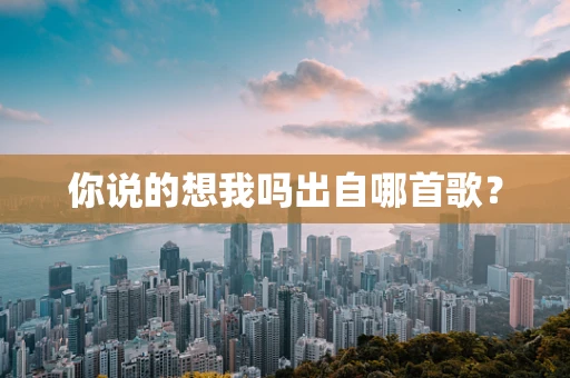 你说的想我吗出自哪首歌？