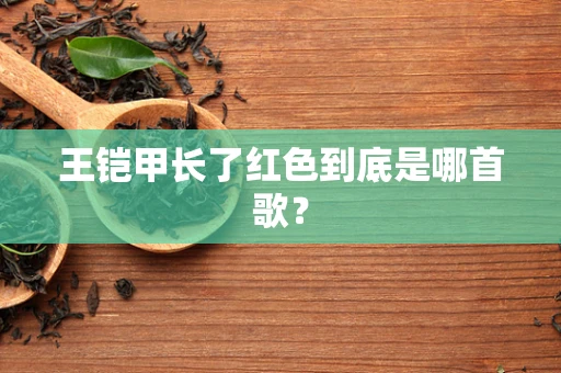 王铠甲长了红色到底是哪首歌？