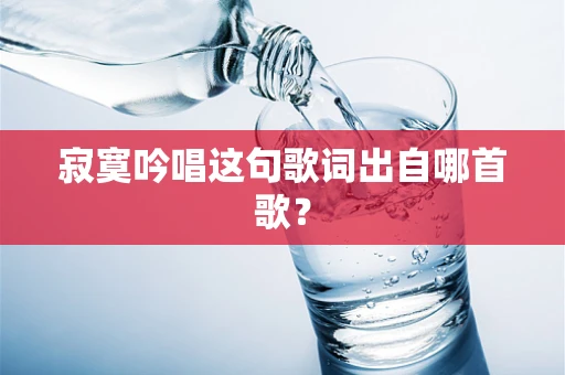 寂寞吟唱这句歌词出自哪首歌？