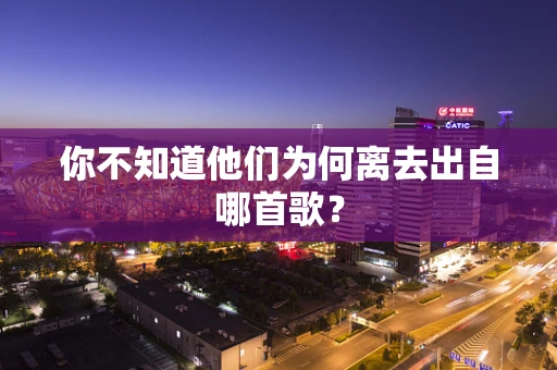 你不知道他们为何离去出自哪首歌？