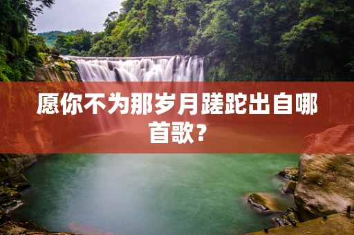 愿你不为那岁月蹉跎出自哪首歌？